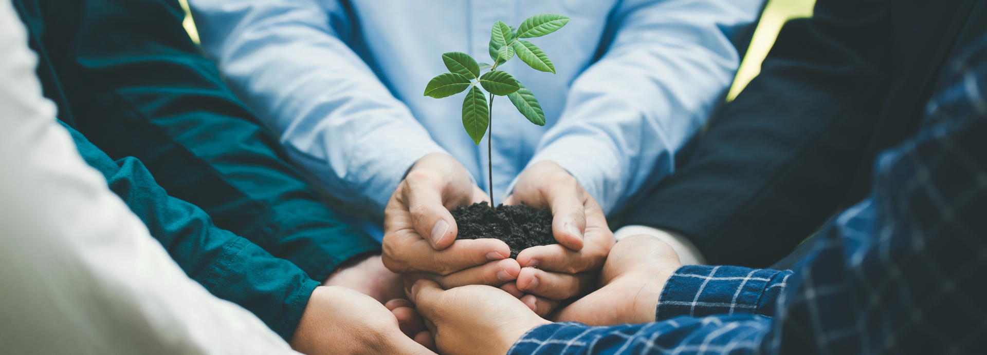 Environmental,Cooperation.,Unity,Of,Businesspeople,And,Community,Together,Protecting,Small