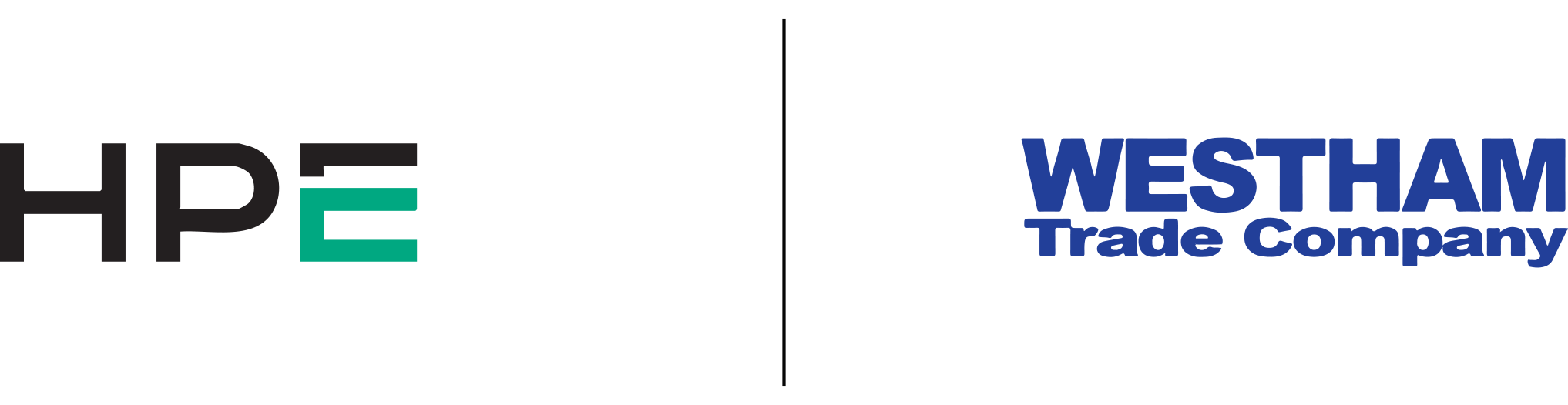 New HPE Logo-WT Logo,